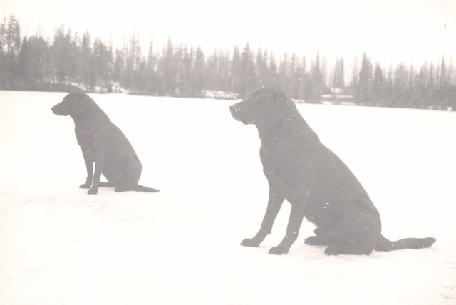 Christmas Day Injun and Poncho